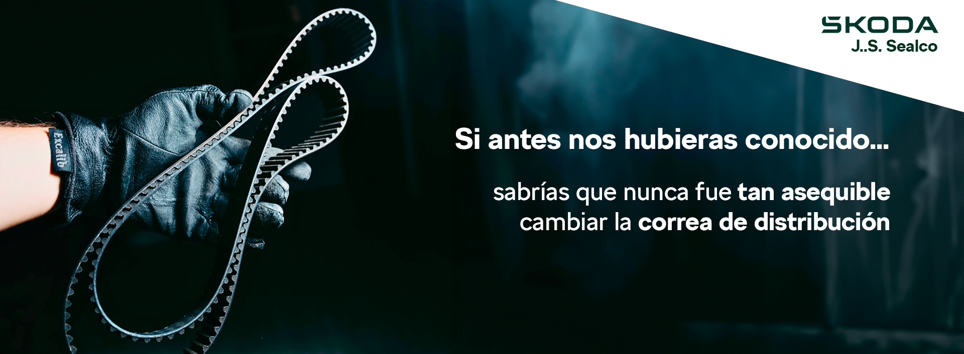 Correas de distribución